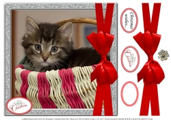 CHRISTMAS KITTEN IN A BASKET