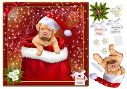 SANTAS LITTLE HELPER 3