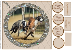 GREYHOUND RACING BIRTHDAY / MULTI SENTIMENT
