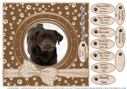 BROWN LAB THANK YOU AND VARIOUS OTHER SENTIMENTS