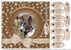 BULL TERRIER THANK YOU AND VARIOUS OTHER SENTIMENTS