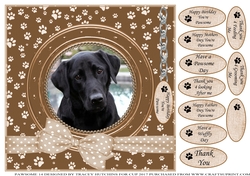 BLACK LAB THANK YOU AND VARIOUS OTHER SENTIMENTS