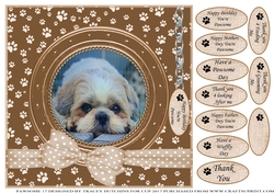 SHIHTZU THANK YOU AND VARIOUS OTHER SENTIMENTS
