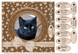 BLACK CAT THANK YOU AND VARIOUS OTHER SENTIMENTS