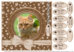 GINGER CAT 2 THANK YOU AND VARIOUS OTHER SENTIMENTS
