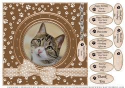 TABBY CAT THANK YOU AND VARIOUS OTHER SENTIMENTS