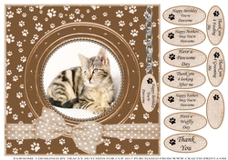 TABBY CAT 2 THANK YOU AND VARIOUS OTHER SENTIMENTS