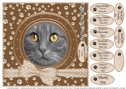 GREY CAT THANK YOU AND VARIOUS OTHER SENTIMENTS