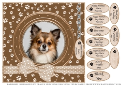 CHIHUAHUA 1 THANK YOU AND VARIOUS OTHER SENTIMENTS