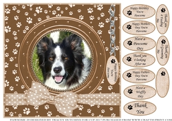 COLLIE THANK YOU AND VARIOUS OTHER SENTIMENTS