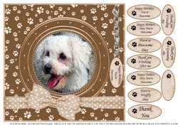 BICHON FRISE THANK YOU AND VARIOUS OTHER SENTIMENTS