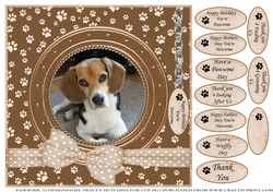 BEAGLE THANK YOU AND VARIOUS OTHER SENTIMENTS
