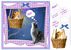 FUNNY UNIVERSAL CATS CARD FRONT