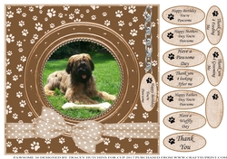 BRIARD 1 THANK YOU AND VARIOUS OTHER SENTIMENTS