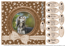 SALUKI THANK YOU AND VARIOUS OTHER SENTIMENTS