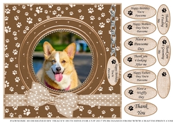 CORGI THANK YOU AND VARIOUS OTHER SENTIMENTS