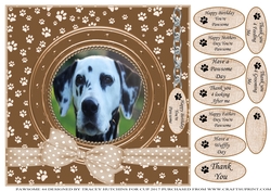 DALMATION THANK YOU AND VARIOUS OTHER SENTIMENTS