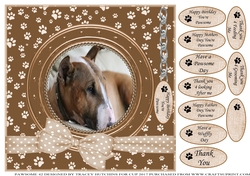 ENGLISH BULL TERRIER THANK YOU AND VARIOUS OTHER SENTIMENTS