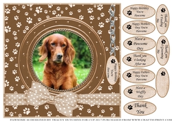 RED SETTER THANK YOU AND VARIOUS OTHER SENTIMENTS