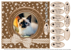 SIAMESE KITTEN THANK YOU AND VARIOUS OTHER SENTIMENTS