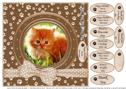 KITTEN 1 THANK YOU AND VARIOUS OTHER SENTIMENTS