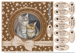 KITTENS 1 THANK YOU AND VARIOUS OTHER SENTIMENTS