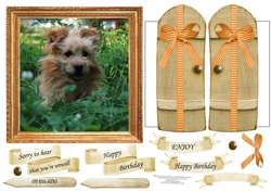THROUGH THE GATES  MULTI USE UNISEX 6x6 HIDE & SEEK 2 DOG