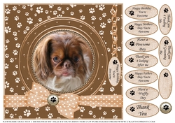 A CARD FROM THE DOG 2 MISC SENTIMENTS