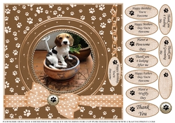 A CARD FROM THE DOG 1 MISC SENTIMENTS