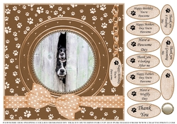 PAWSOME PEEPING COLLIES BIRTHDAY AND NUMEROUS OTHER SENTIMENTS