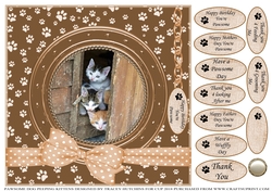 PAWSOME PEEPING KITTENS BIRTHDAY AND NUMEROUS OTHER SENTIMENTS