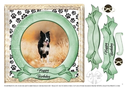 PAWPRINTS ON OUR HEARTS BIRTHDAY 1