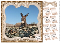 DONKEY MULTI SENTIMENT