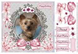 FLORAL YORKIE 1