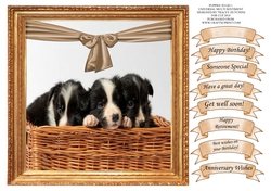PUPPIES TO GO 1 UNIVERSAL WITH WIDE SELECTION OF SENTIMENTS
