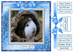WAITING FOR MY DINNER MULTI SENTIMENTS GUINEAPIG