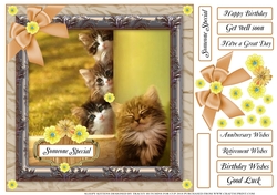 SLEEPY KITTEN / S MULTI SENTIMENT SHEET