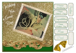 ELVIS IS ALL THAT GLITTERS MULTI SENTIMENT / RELATIVE