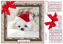 CHRISTMAS CUTIES 1 MULTI SENTIMENTS 