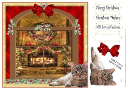 ITS A CATS LIFE 1