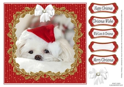 TWINKLE TWINKLE VARIOUS CHRISTMAS SENTIMENTS