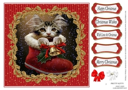 PRETTY KITTY 2