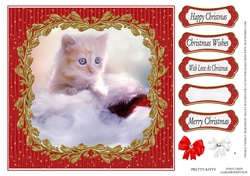 PRETTY KITTY 4