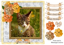 AUTUMN TABBY MULTI SENTIMENT