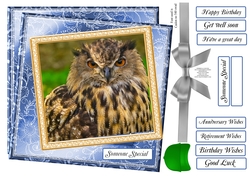 MULTI SENTIMENTS TAWNEY OWL