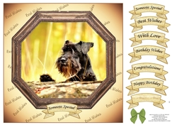 HEXAGON CATS & DOGS SCHNAUZER