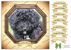 HEXAGON CATS & DOGS BLACK POODLE CROSS