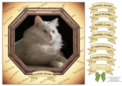 HEXAGON CATS & DOGS WHITE FLUFFY CAT