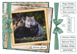 NEW TWISTED FRAME MULTI SENTIMENT CATS GREY / BLACK