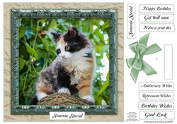 MINT GREEN MULTI SENTIMENT FLUFFY MULTI COLOURED KITTEN
